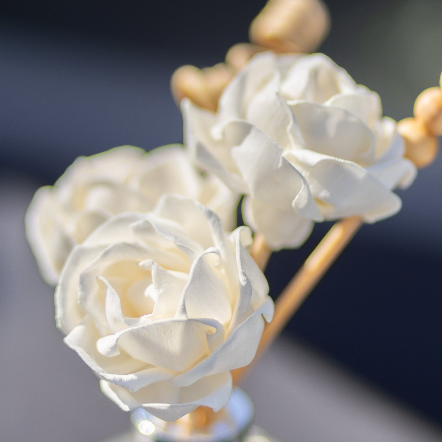 Reeds & Roses Large Diffuser