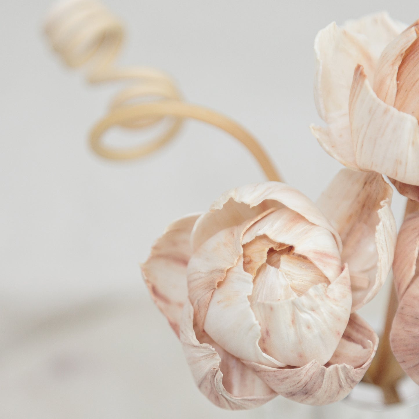 Reeds & Peonies Diffuser Mini Diffuser