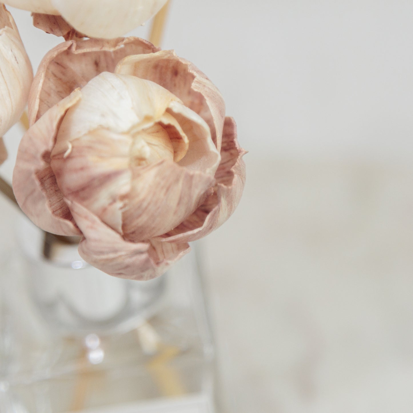 Reeds & Peonies Diffuser Mini Diffuser