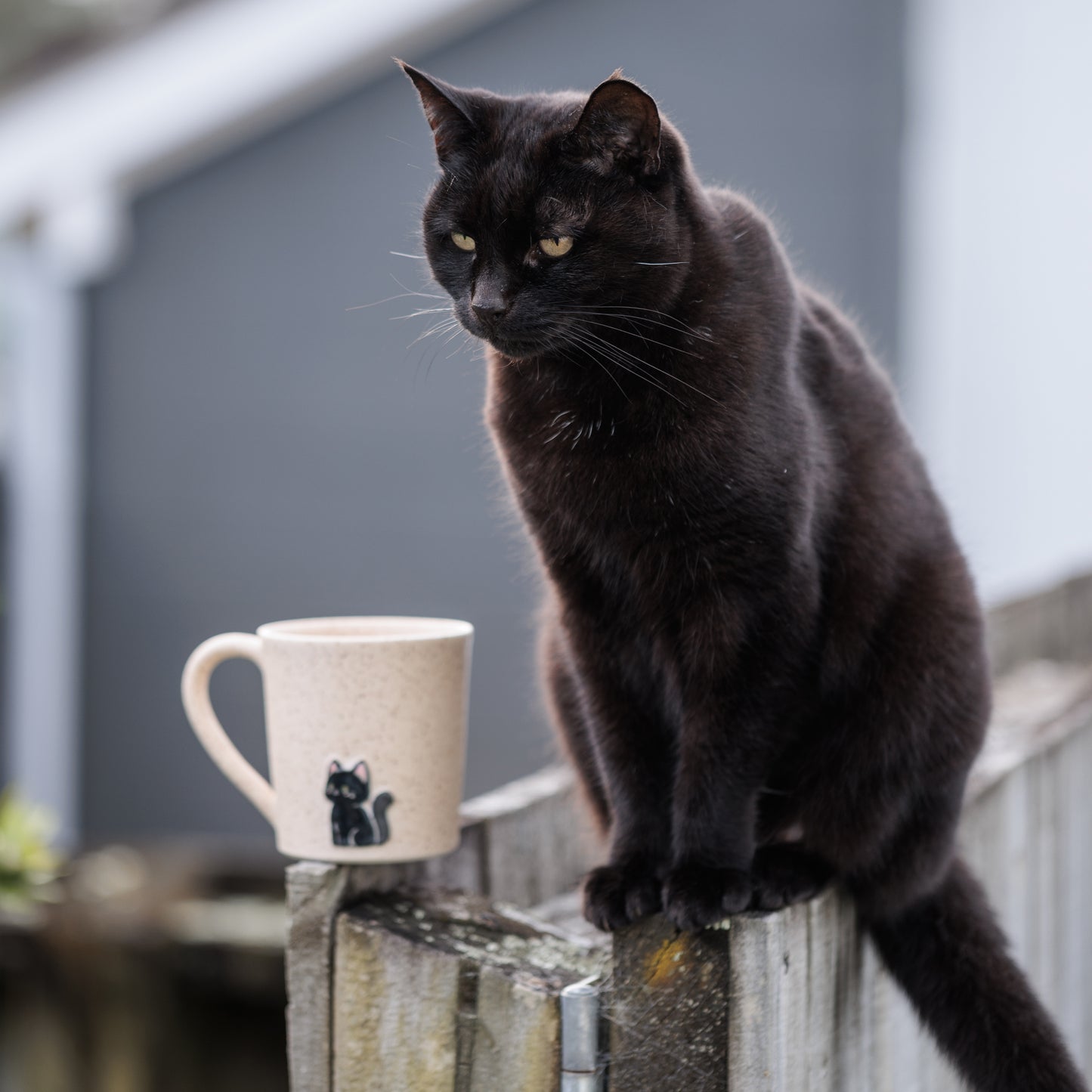 Black Kitty Cat Mug