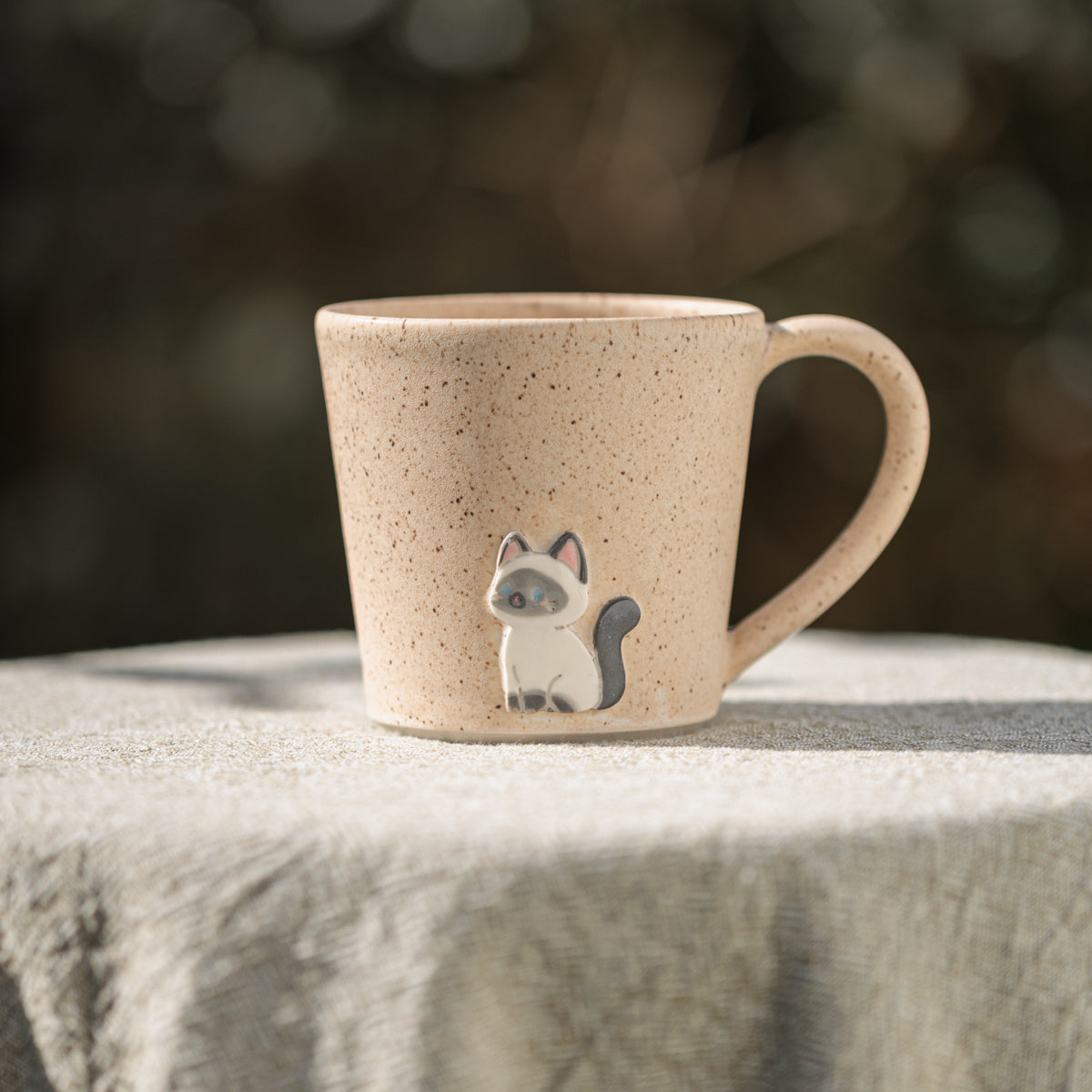 Grey & White Cat