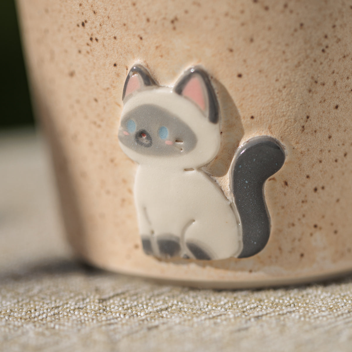 Grey & White Cat