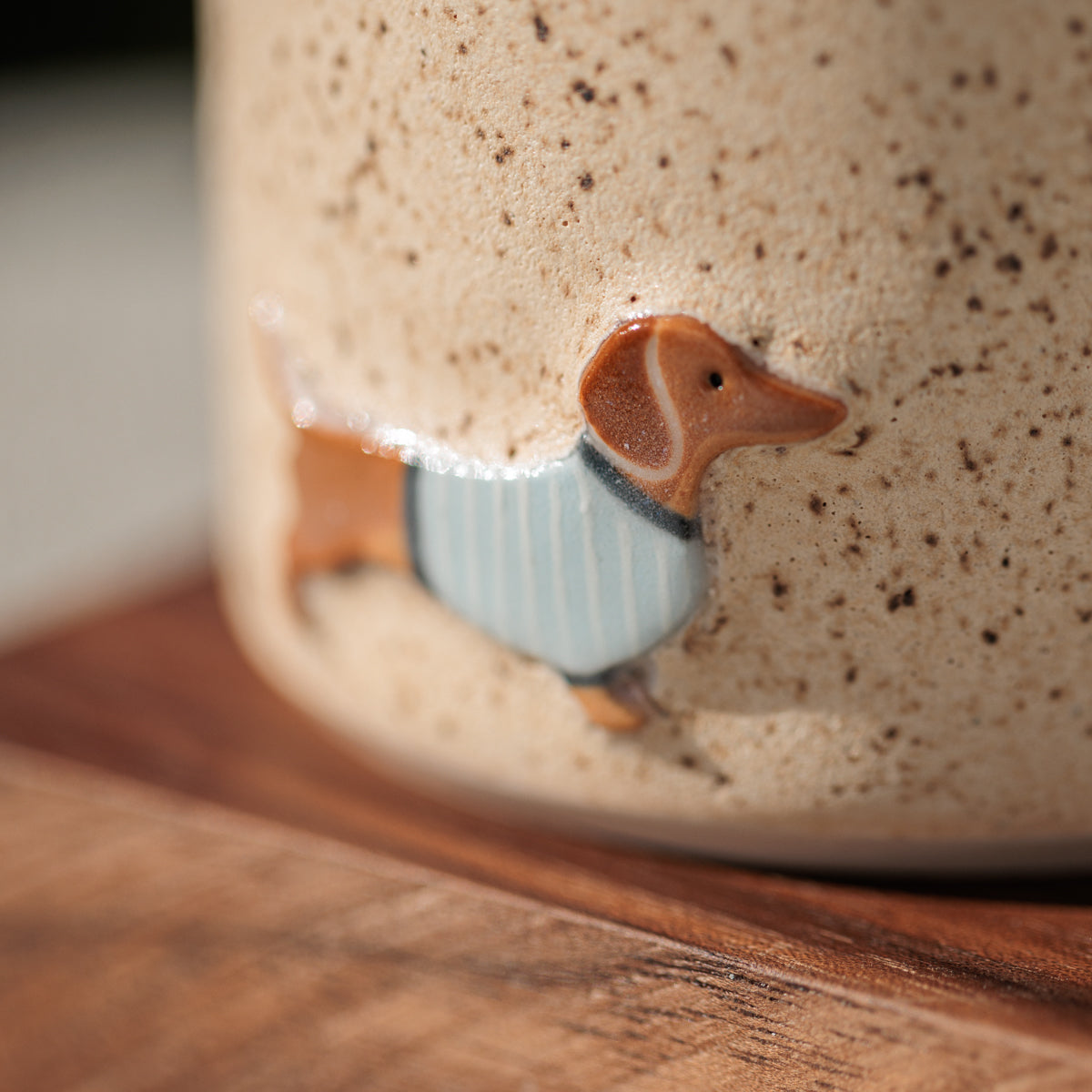 Espresso Dachshund in a Blue Sweater